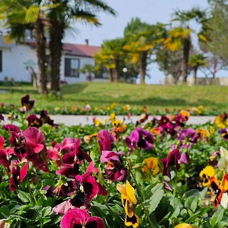 Green Park Дивяка Екстериор снимка