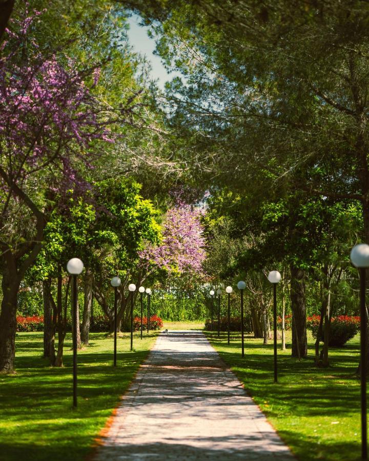 Green Park Дивяка Екстериор снимка